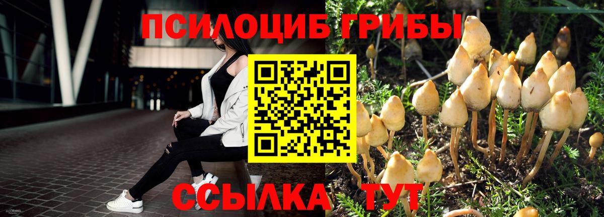 Белгород  Галлюциногенные грибы GOLDEN TEACHER  Вход с VPN  Псилоцибиновые грибы мухоморы 