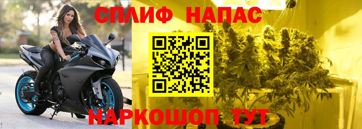 Конопля конопля  Бошки Шишки MAZAR  Каннабис OG Kush  Вход с VPN  Марихуана OG Kush  Белгород 